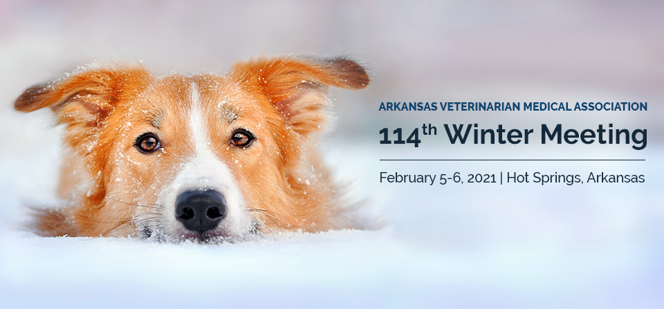 114th Winter Meeting | February 5-6 2021