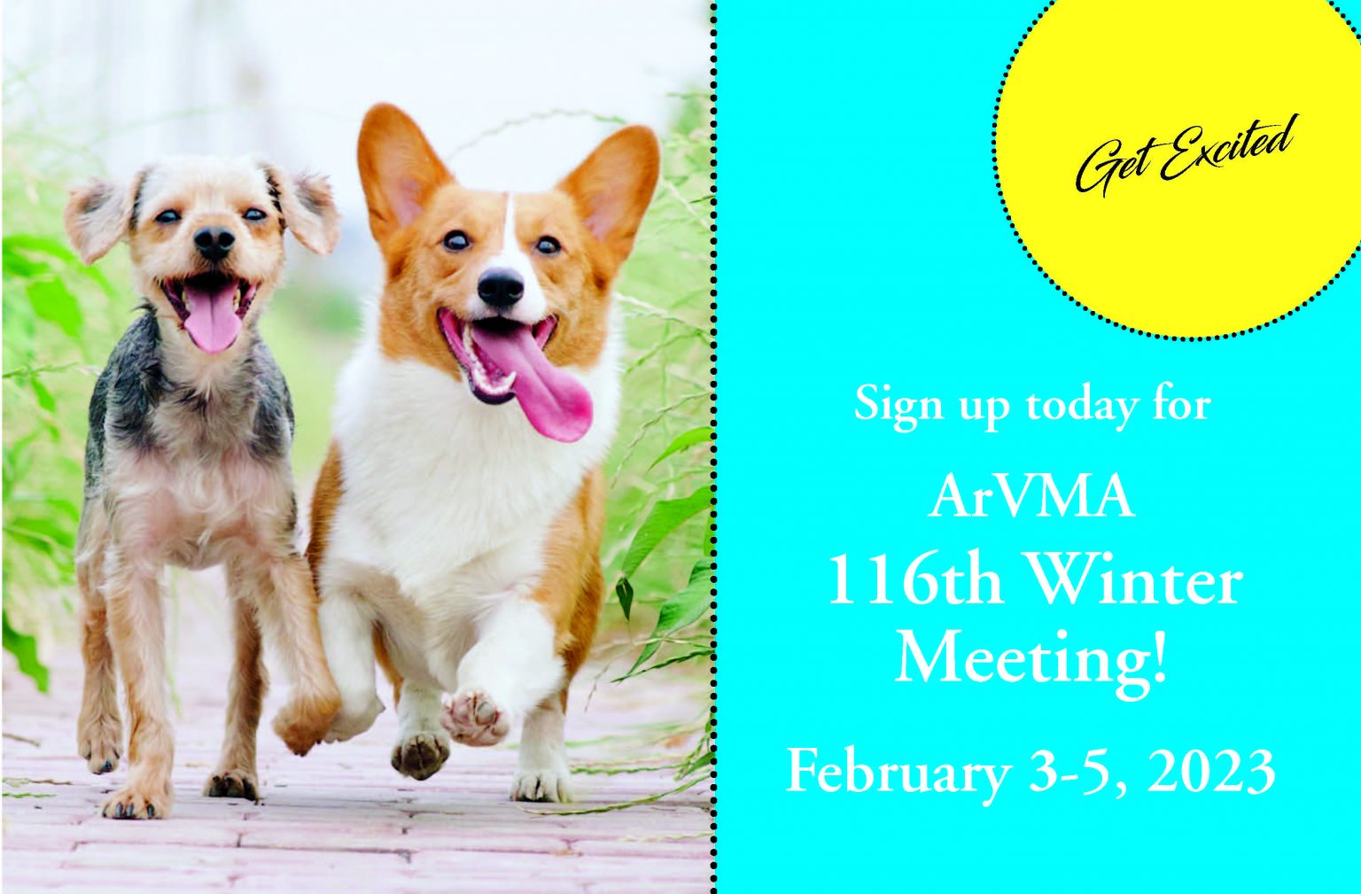 2023 Winter Meeting Arkansas Veterinary Medical Association